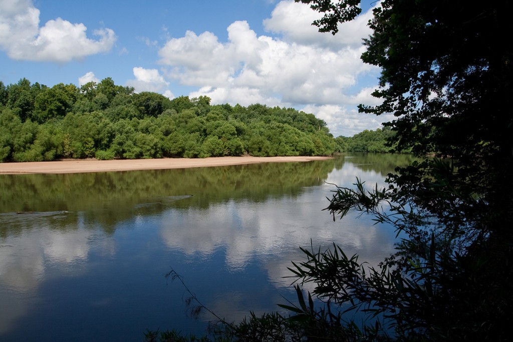 Congaree River South Carolina