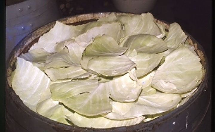 Sauerkraut Cabbage Leaves