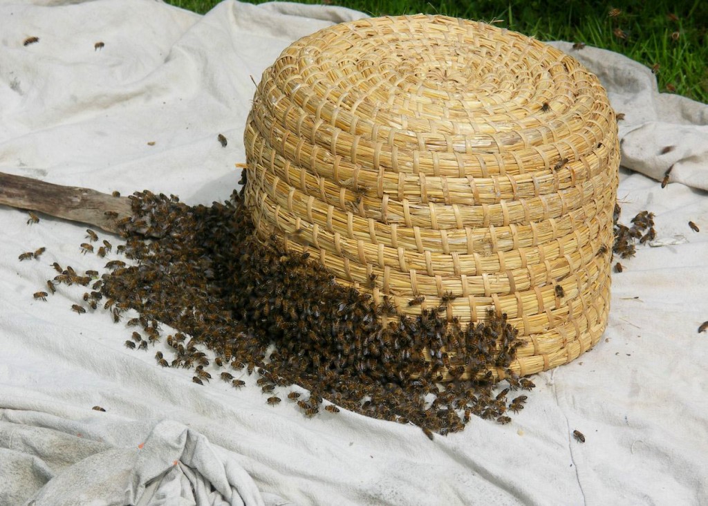 Bees Skep Hive