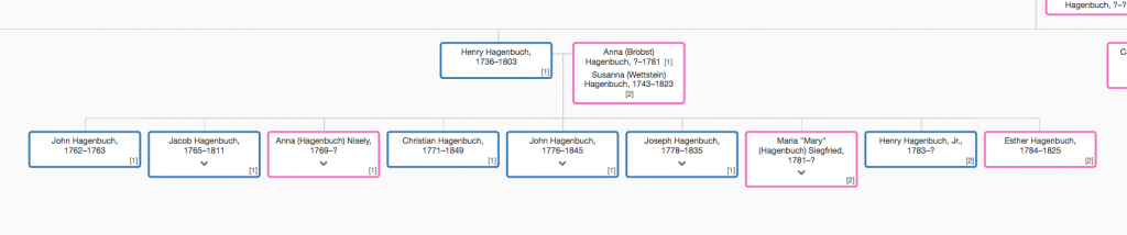 Henry Hagenbuch Family Tree