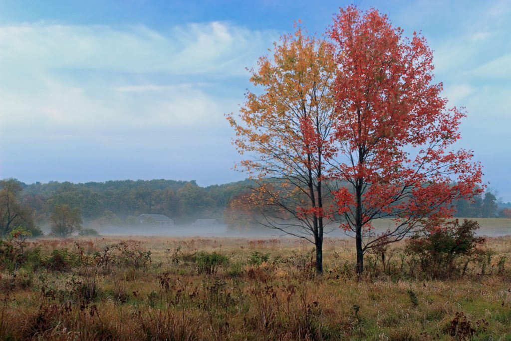 Early Fall Berks County PA