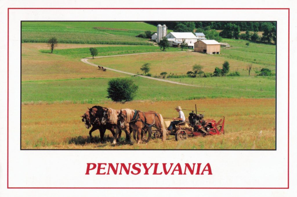 Amish Farming Pennsylvania Postcard