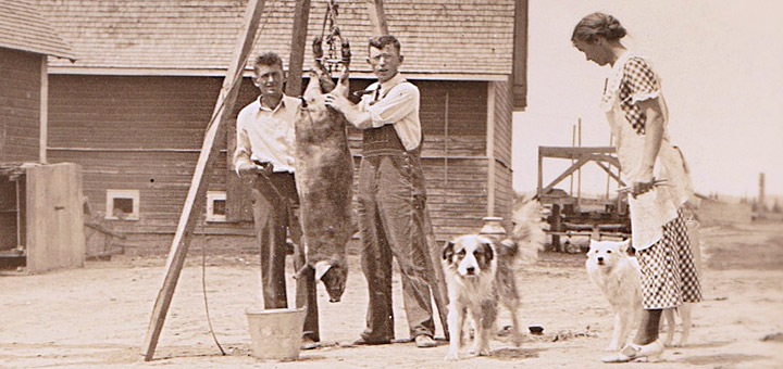 Hog Butchering 1919