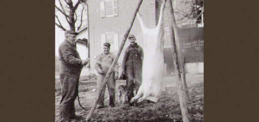 Hog Butchering 1969