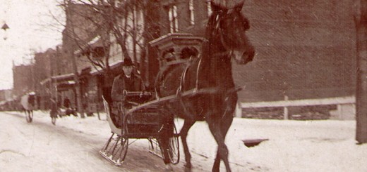 Percy Hagenbuch Sleigh & Horse