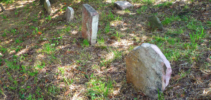 Hagenbuch Homestead Cemetery