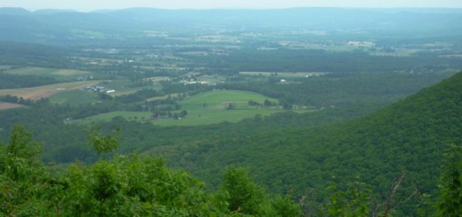 Pennsylvania Mountain View