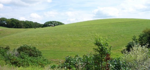 Hagenbuch Homestead Field and Hill