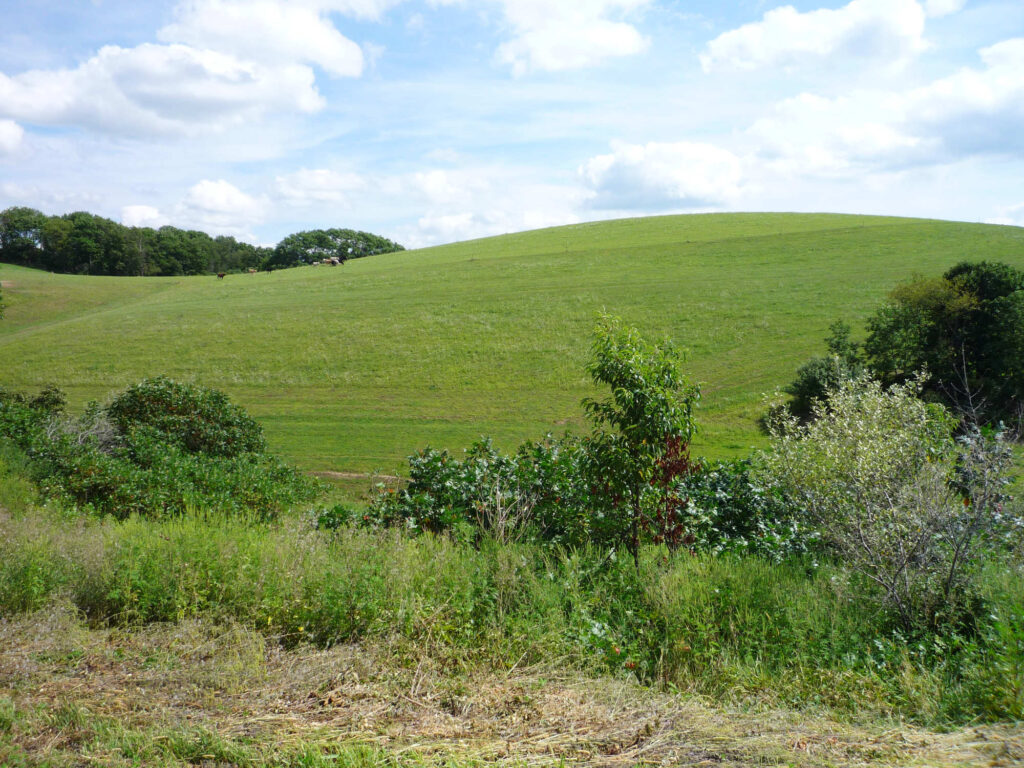 Hill Hagenbuch Homestead