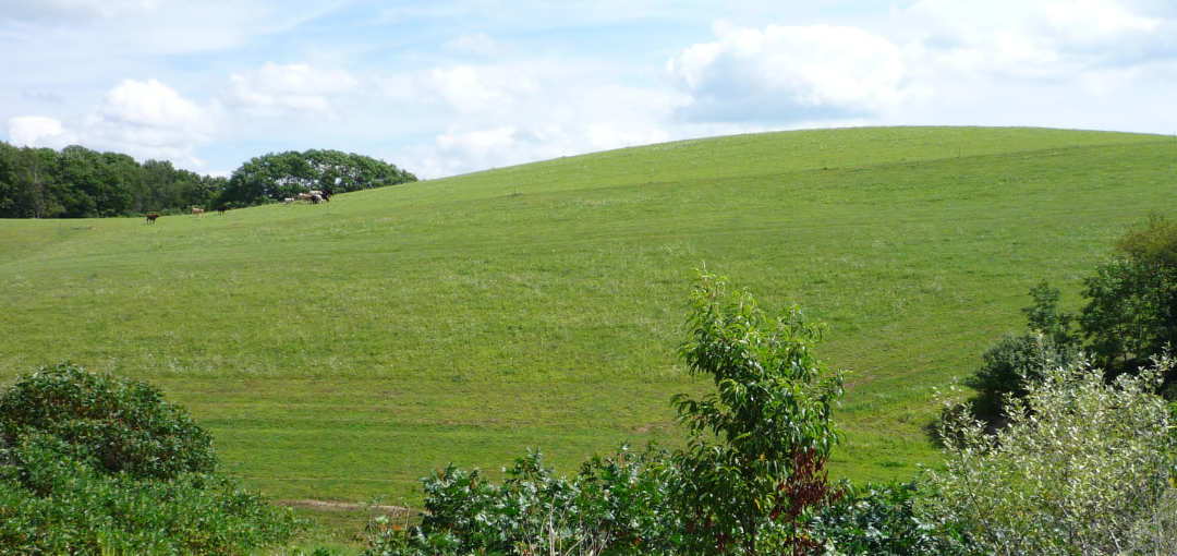 Hagenbuch Homestead Hill