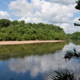 Congaree River Detail