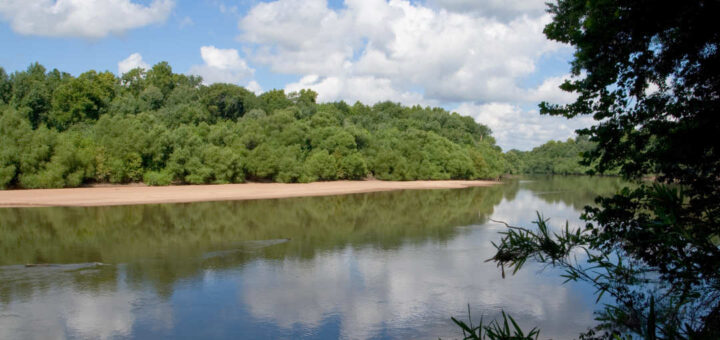 Congaree River in South Carolina