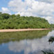 Congaree River in South Carolina