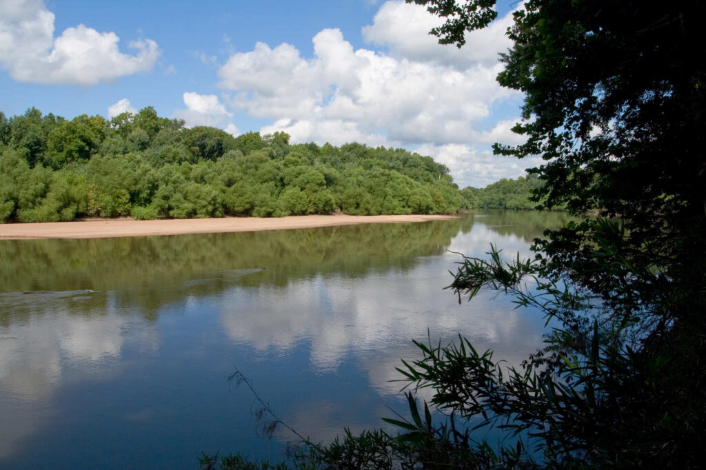 Congaree River South Carolina