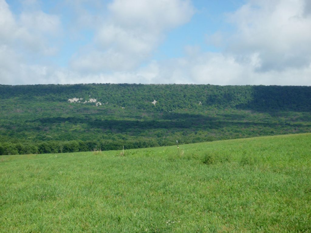 Blue Mountains Hagenbuch Homestead