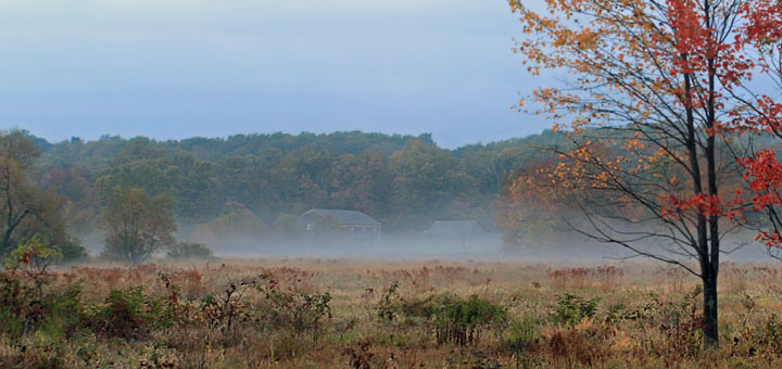 Early Fall Berks County PA Detail