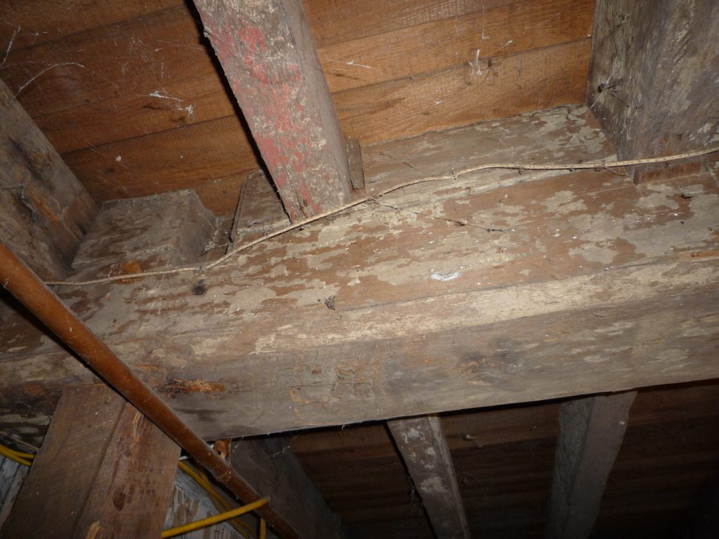 Hagenbuch Homstead Ground Floor Beam