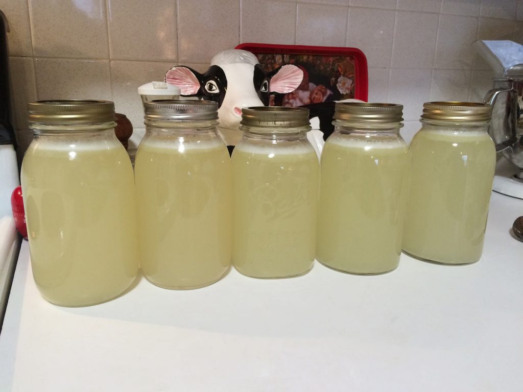 Ginger Beer Jars