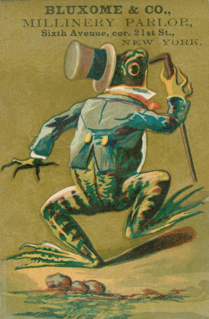 Frog Trade Card, My First Suit