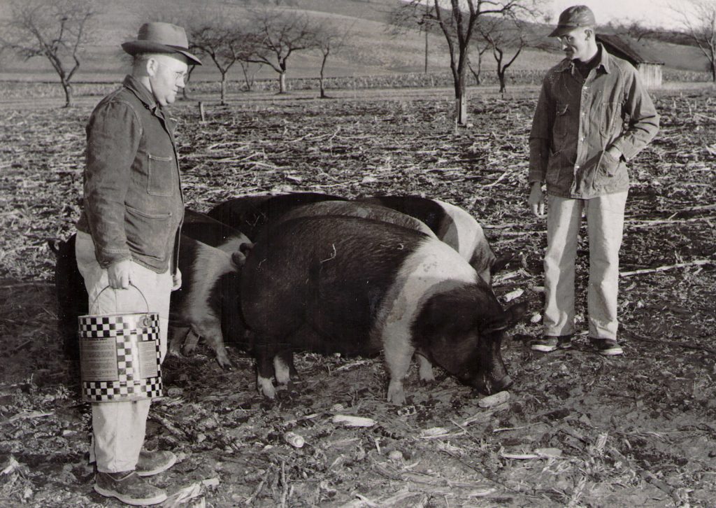 Bruice and Andy Hagenbuch with Pigs