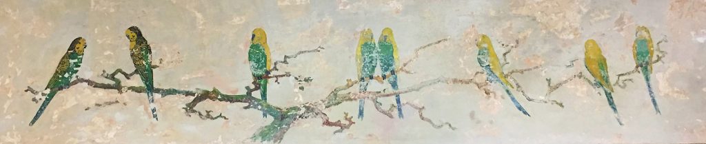 William Hagenbaugh Family Budgies