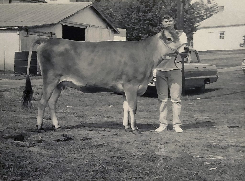 David Hagenbuch Cow Bess