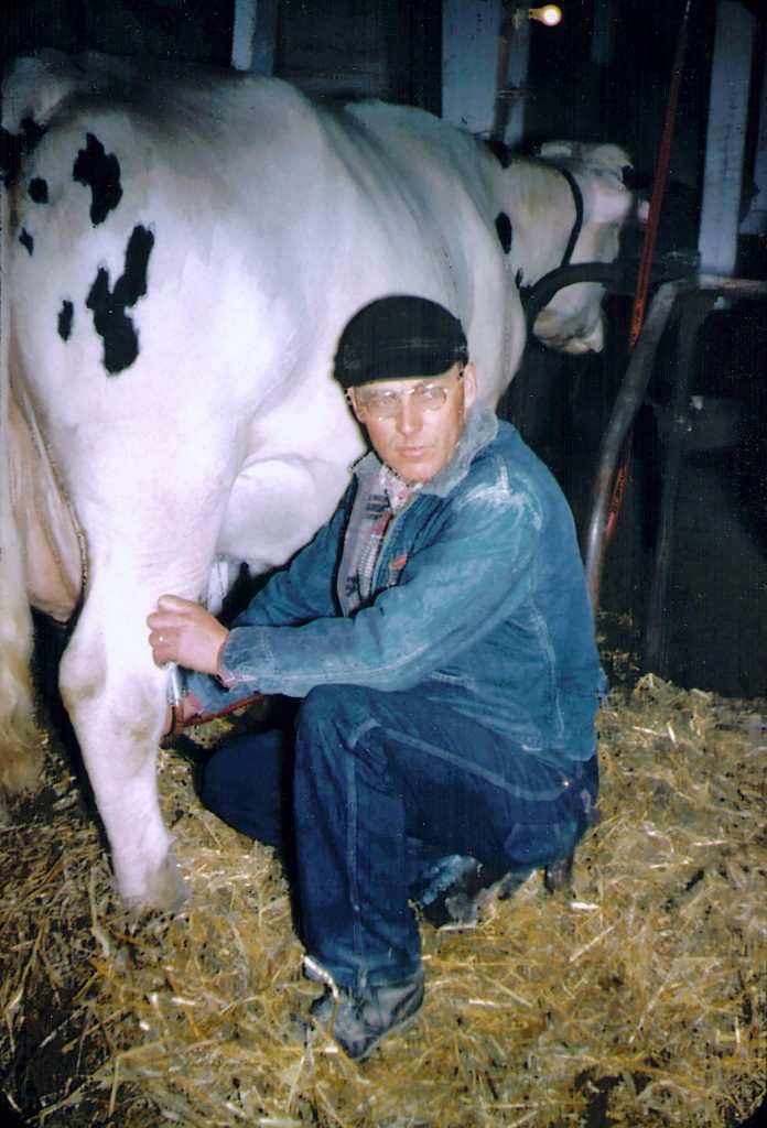 Homer Hagenbuch Milking Cow