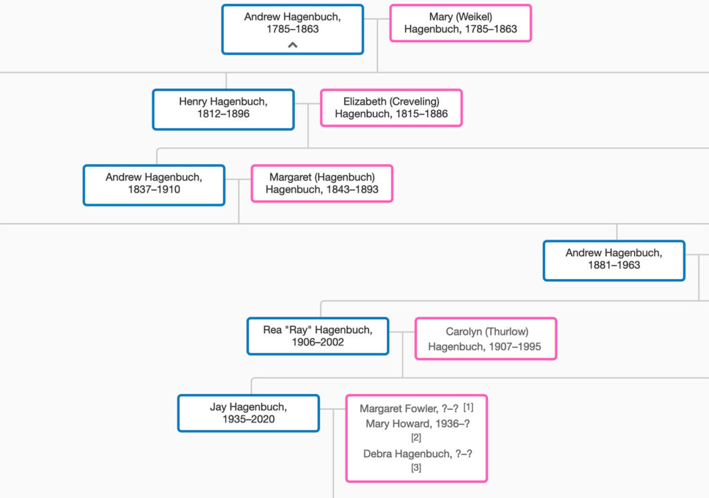 Beechroots Tree Jay Hagenbuch