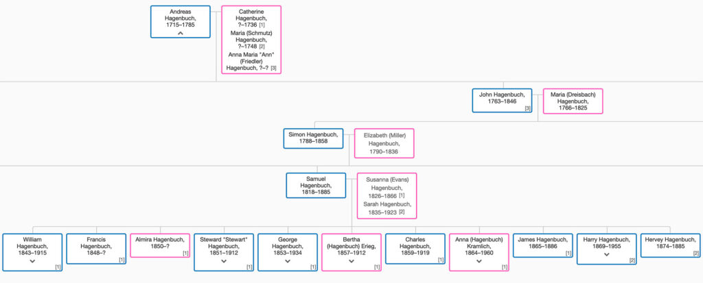 Samuel H. Hagenbuch Tree