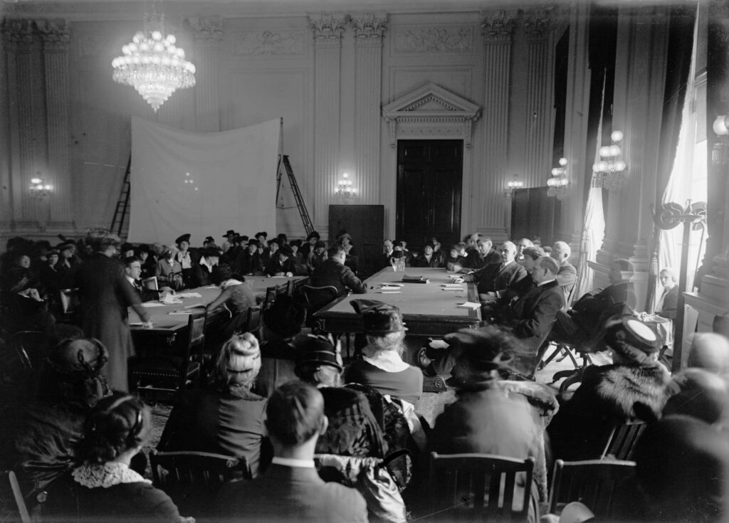 Congressional Hearing 1917