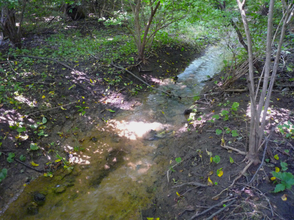 Spengler Preserve Park Spring Stream