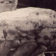 Fred Durlin Potato Montour-Delong Fair Detail