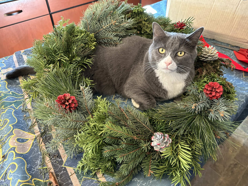 Ollie Cat Wreath 2022