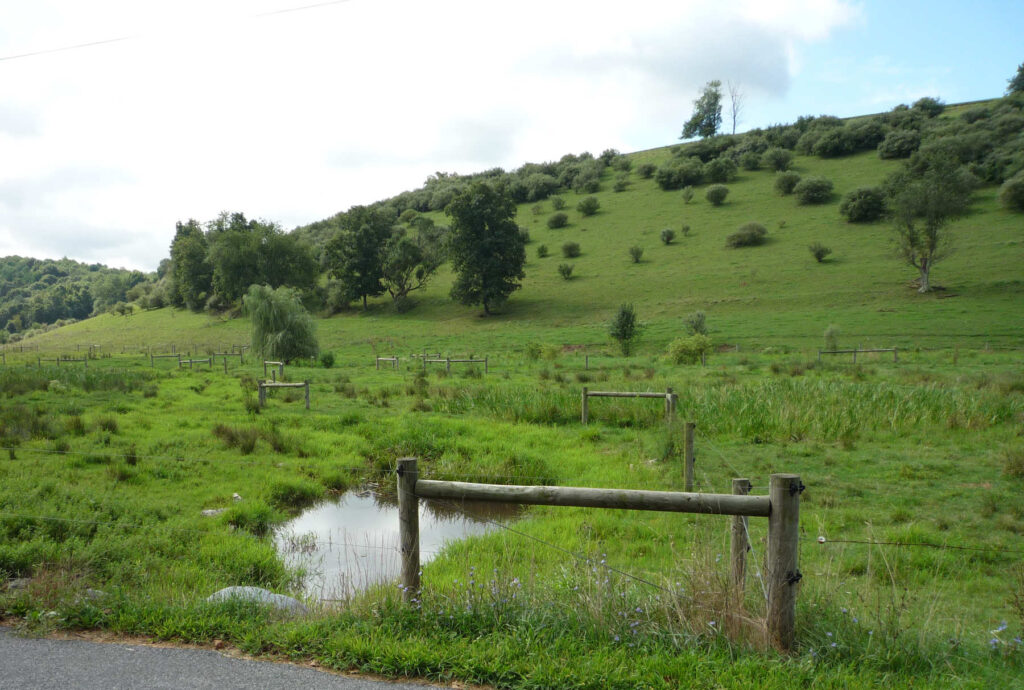 Hagenbuch Homestead Creek 2016