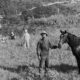 Dan Haskel Farm Nebraska 1886 detail