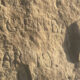 W. Hagenbaugh Rock Carving Detail