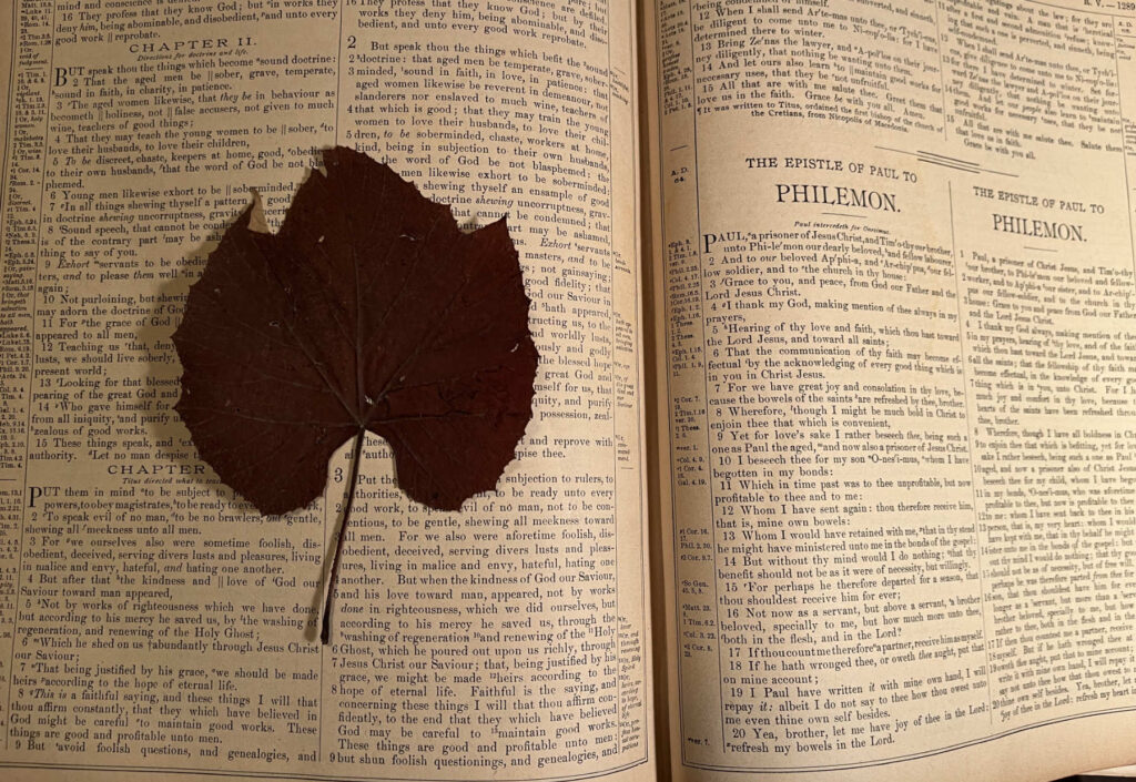 Hiram Hagenbuch Bible Wild Grape Leaf