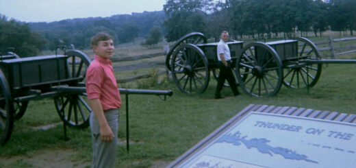Mark and Homer Hagenbuch Gettysburg 1967 Detail