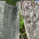 Mary Magdalena Wolf Hagenbuch Gravestones
