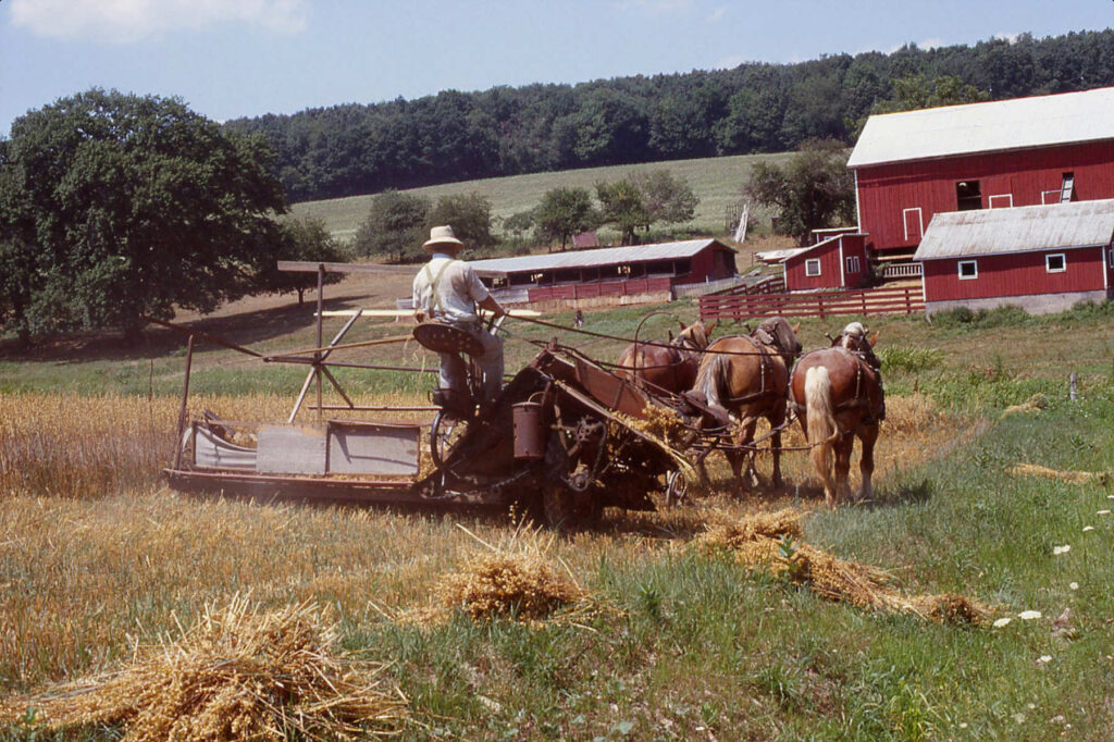 Bound Sheaves Conveyor Field