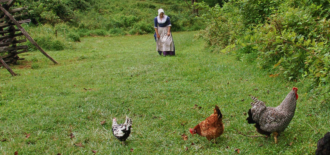 Colonial Woman Farm Chickens