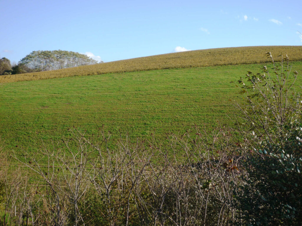 Fields Hagenbuch Homestead