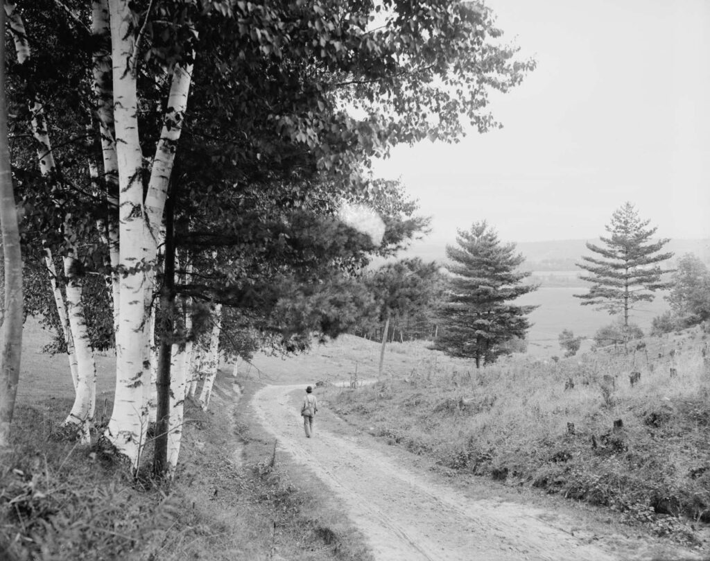 Road Ethan Ellen Farm Vermont 1900