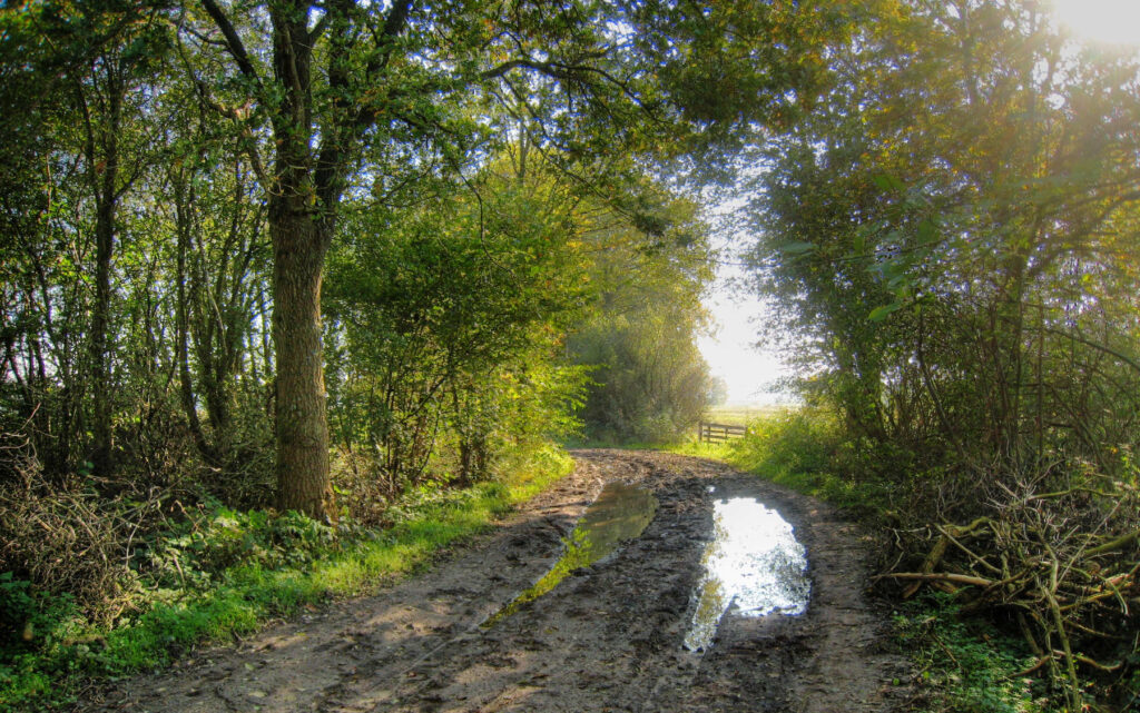 Muddy Dirt Road