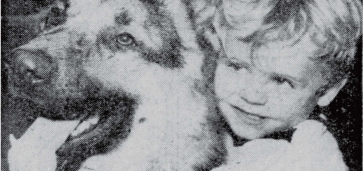 David Hagenbuch, Dog Prince, 1957 Detail