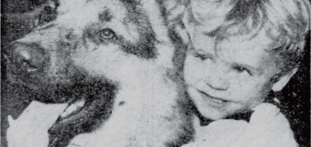 David Hagenbuch, Dog Prince, 1957 Detail