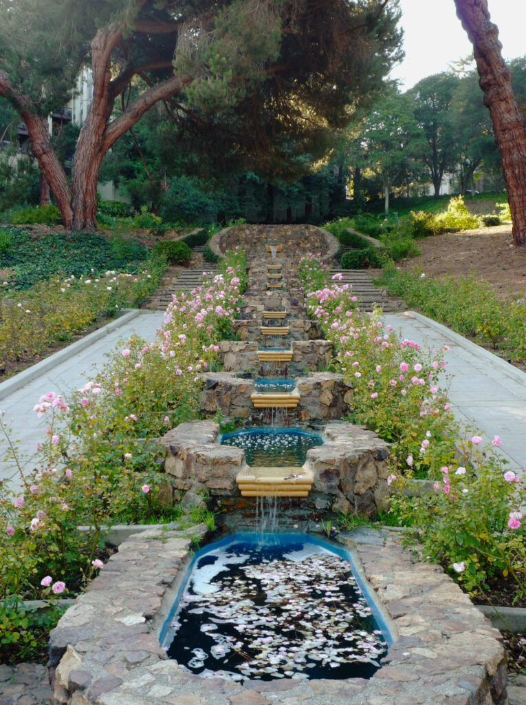 Morcom Rose Garden Oakland 2008