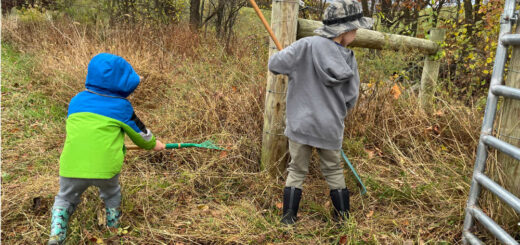 Hagenbuch Homestead Cleanup 2025 Detail