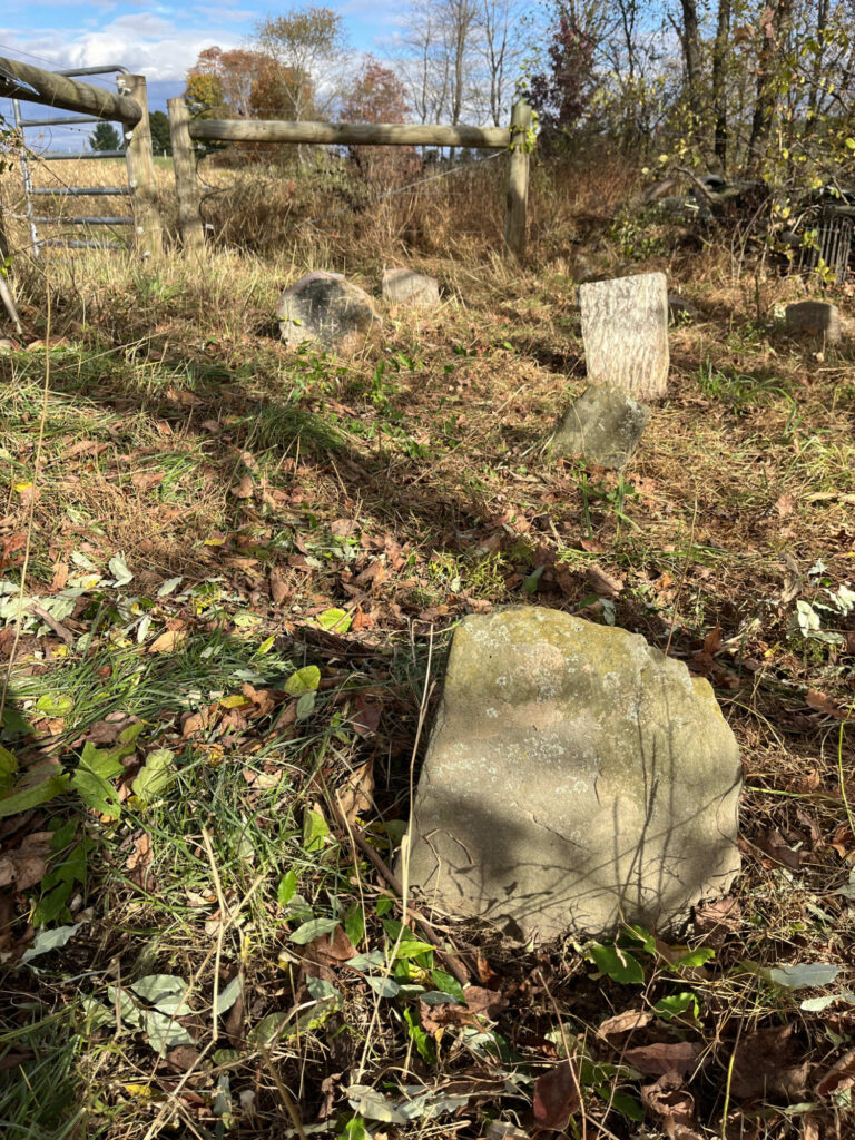 Hagenbuch Homestead Cemetery Cleanup Finished