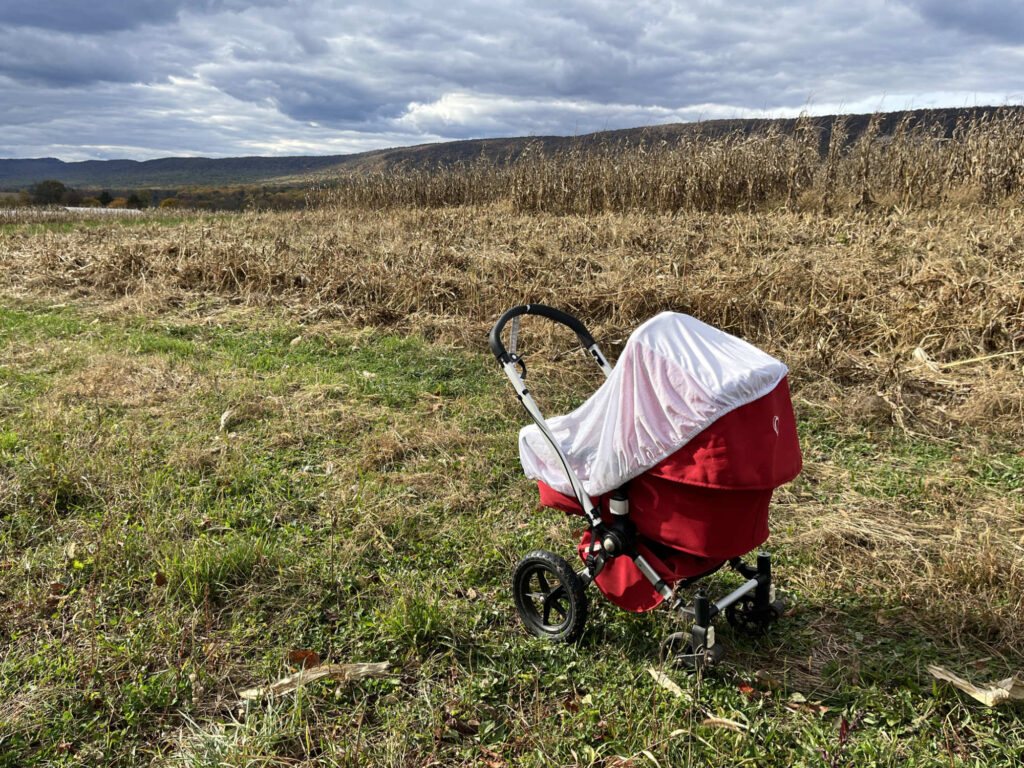 Rosanna Hagenbuch Bassinet Stroller Field